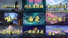【推荐歌单】2026热门歌曲合集，9首超级好听的流行音乐合集。Letting Go 红色高跟鞋