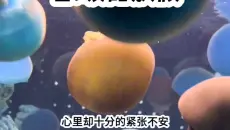 茗：暖甜放假#书旗小说后续哦