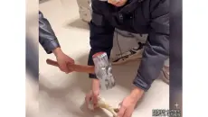 盘点猝不及防的倒霉瞬间