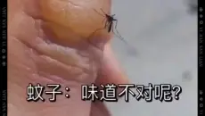 【香菜搞笑】新的B站打开方式，求三连～