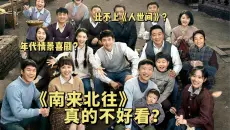 《南来北往》真的不如《人世间》吗？｜年代剧一定要深沉严肃吗？