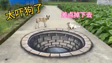 在马路上画一个坑，狗看到吓得都不敢过了，太搞笑了哈哈哈
