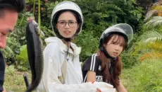 兄弟们，这次真不怪我们