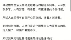 合群重要还是自己开心重要