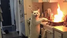 【FunnyPunk3】消灭你的不开心！国外趣味视频集锦#33