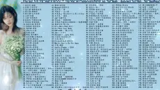 网易云评论10W+的神仙歌曲200首合集  最高音质 分集播放  带歌词