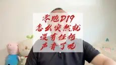 零跑D19怎么突然就没声音了呢！