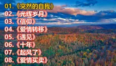 《突然的自我》《光辉岁月》《信仰》《爱情转移》《遇见》《十年》《起风了》《爱情买卖》