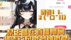 震惊！某主播在直播期间和麦克风激烈地吻