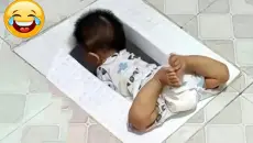 不笑算我输，最佳搞笑视频合集
