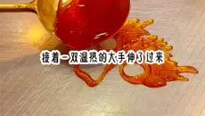 《似海分泌》——书旗小说