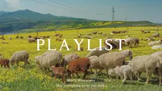 【Playlist】纯音乐｜“你永远是自由的盛夏”｜含倒计时｜考研考公复习学霸学习备考看书背景音乐｜放松冥想轻音乐｜舒缓钢琴曲