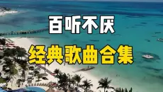【无损音质】超级好听的经典歌曲合集，100首好听的流行音乐合集