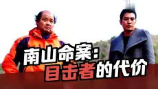 南山连环行凶案