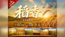 【稻香】周杰伦经典歌曲 4K超清LED大屏背景视频 无水印可商用 晚会/年会/学校文艺汇演 舞台演绎必备 33474330 麦田 小麦 麦浪 丰收 农业 农田