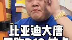 比亚迪大唐和零跑D19，有什么缺点？