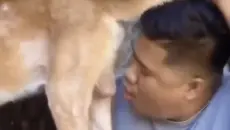 ⚡ 经 典 咏 流 传 ⚡