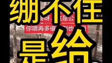 绷不住是给挑战（9）