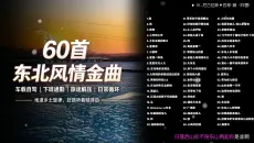 车载神曲合集 | 60首地道东北风情金曲，豪爽旋律，开车听贼拉过瘾，还不赶紧收藏！