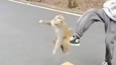 看一次笑一次！