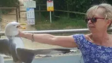 【FunnyPunk3】消灭你的不开心！国外趣味视频集锦#34