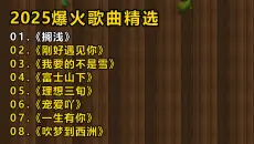 2025爆火歌曲精选《搁浅》《刚好遇见你》《我要的不是雪》《富士山下》《理想三旬》《宠爱吖》《一生有你》《吹梦到西洲》