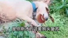 《底层代码の威力》