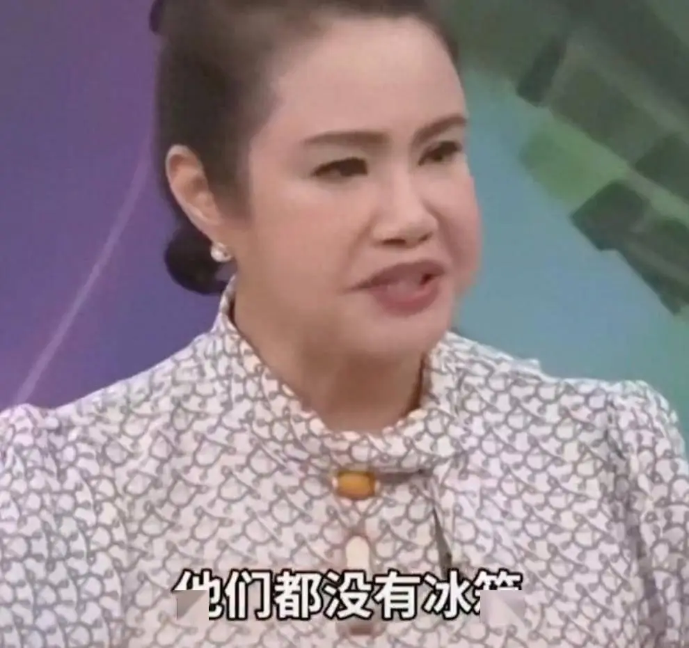 台湾节目嘉宾说北京没有冰箱，网友：对对对，我们还在钻木取火！
