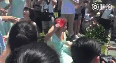 动图封面