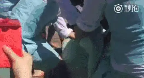动图封面